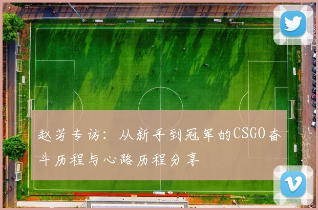 赵芳专访：从新手到冠军的CSGO奋斗历程与心路历程分享