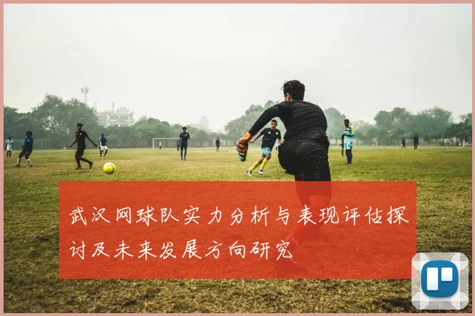 武汉网球队实力分析与表现评估探讨及未来发展方向研究