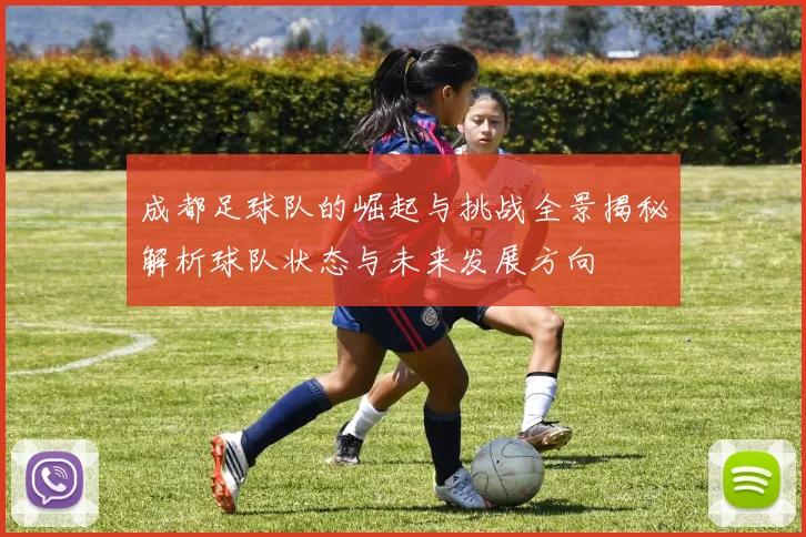 成都足球队的崛起与挑战全景揭秘解析球队状态与未来发展方向